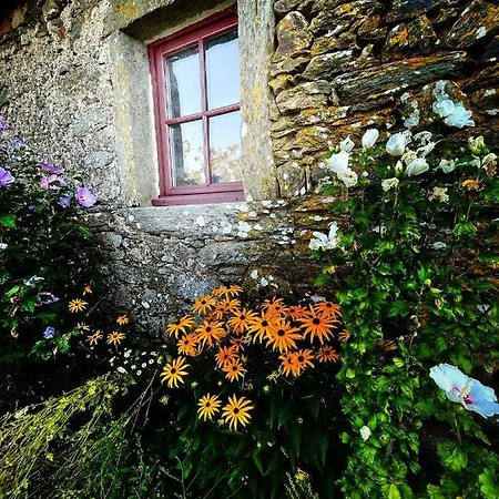 La Maison De Justine Couette-café